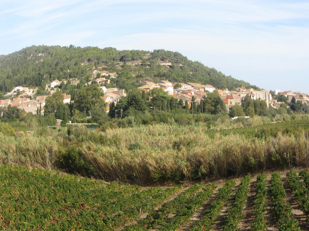 Chambre D'Hotes Le Laurier Blanc Portel-des-Corbieres Dış mekan fotoğraf