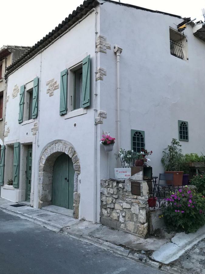 Chambre D'Hotes Le Laurier Blanc Portel-des-Corbieres Dış mekan fotoğraf